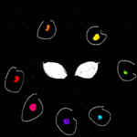 Noz³ Games