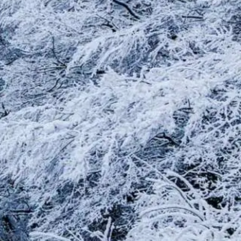 ❄
