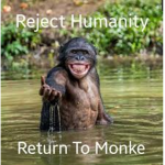 Daaa Monke Gang