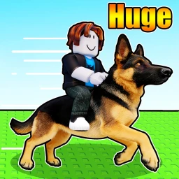 Animal Training