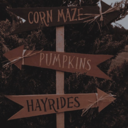 🎃