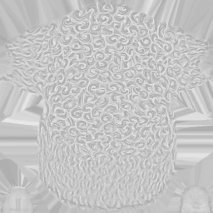 Leak asset thumbnail