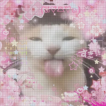 Cats fams