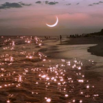 wave magic ~
