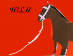 +*WSM riding academy*+