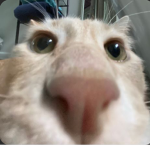 Uhhidk?