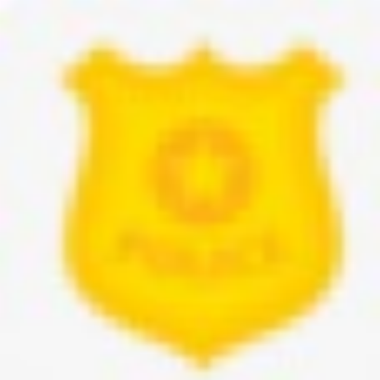 Police Cartoon Badge Roblox decal