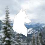 Northern Frontier Group