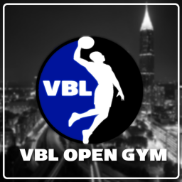 [VBL] Open Gym