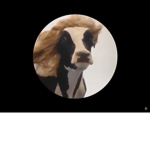 [ Content Deleted 5440989 ]