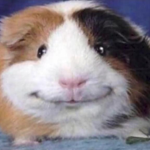 XD laugh out loud lol