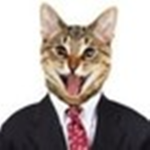 boss cat Group Thumbnail