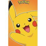 Pokémon fan clut
