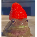 the frog power unity