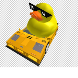 Duck Race