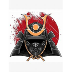[ZO] Kyroaki
