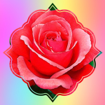 Rose squad;-;