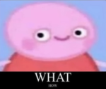 funni lol hehe haha aHAHAHAHHA