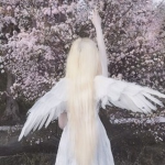 ⋆ Ｈｅａｖｅｎ ⋆
