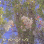 fairyangeIs<3
