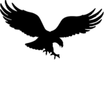 Eagle Eye Designs ✓