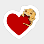 Gecko Clan :3