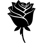 RosesAndThorns