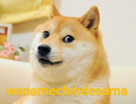 DogesBasados777