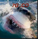 7g co
