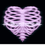 +* D3V1L$ *+