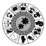 The Zodiacs 干支