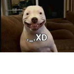 Grupo ._.XD