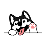 Lazy Dog's Have Fun