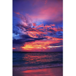 Aesthetic sunsets///