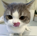 moonkel