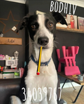 B0DH1V