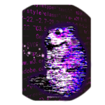 Software Chomik