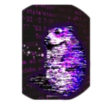 Software Chomik