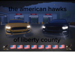 the american hawks of liberty county