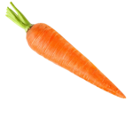 Carrots Team!