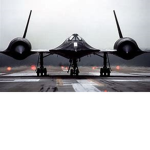 BlackBirdFanGroup