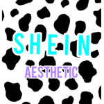SHEIN_ Aesthetic