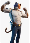 Meowsuscles group
