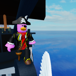 THE PARROT'S PERCH (PIRATE SHIP)