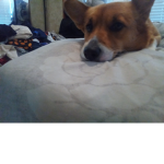 Willow is the best friend ever