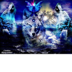Strongest wolves in the world