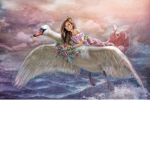 --*Fly*--