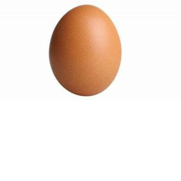 Eggy!