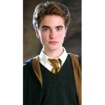 The Only Harry Potter Group