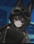 家の犬グループw